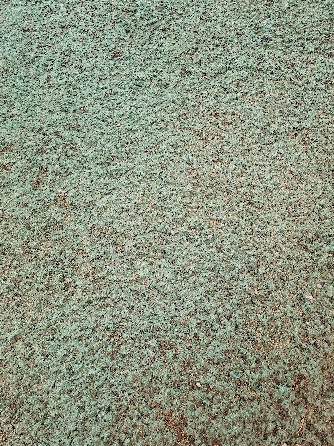 A close-up view of a rough, weathered surface with a mottled green, tan, and brown textured appearance