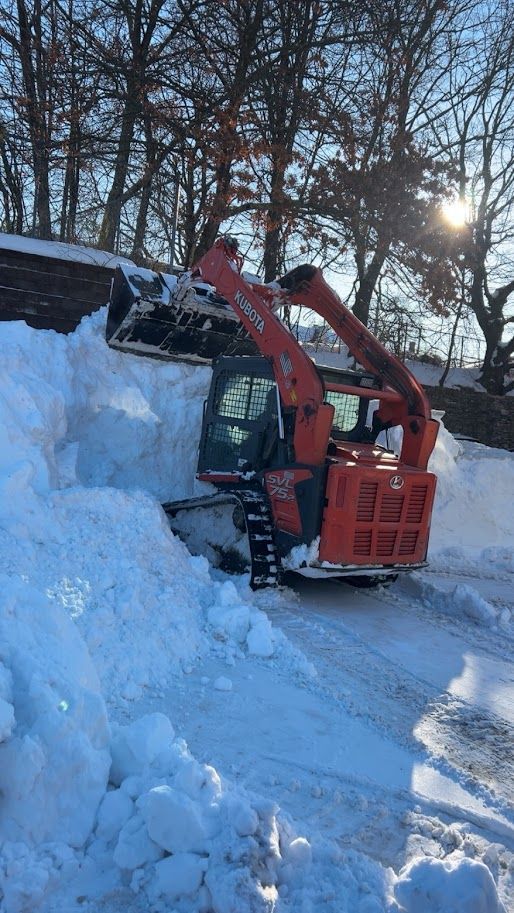 Orange snowblower clearing a snow-covered driveway, sun shining through trees in the background.