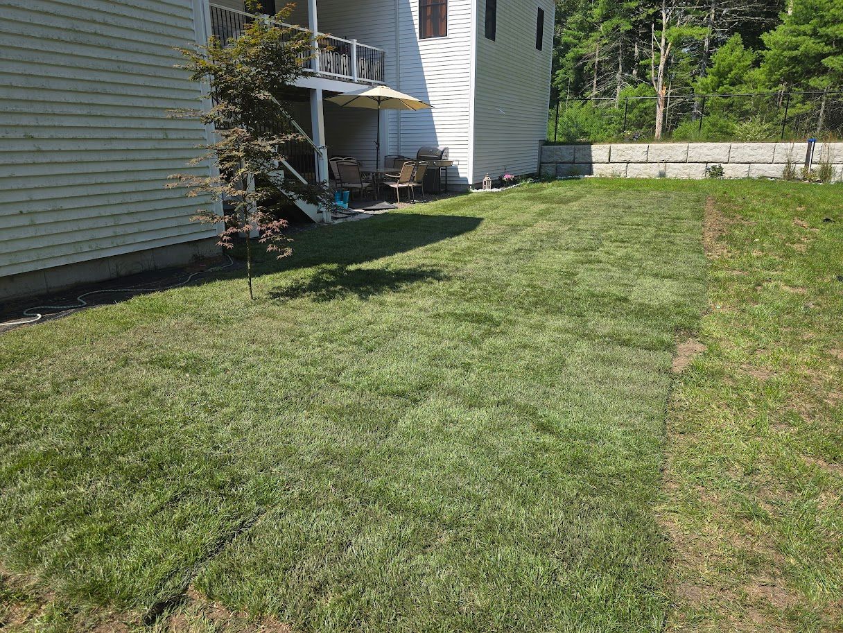 Green grass backyard next to a white house with a deck. A small tree casts a shadow.