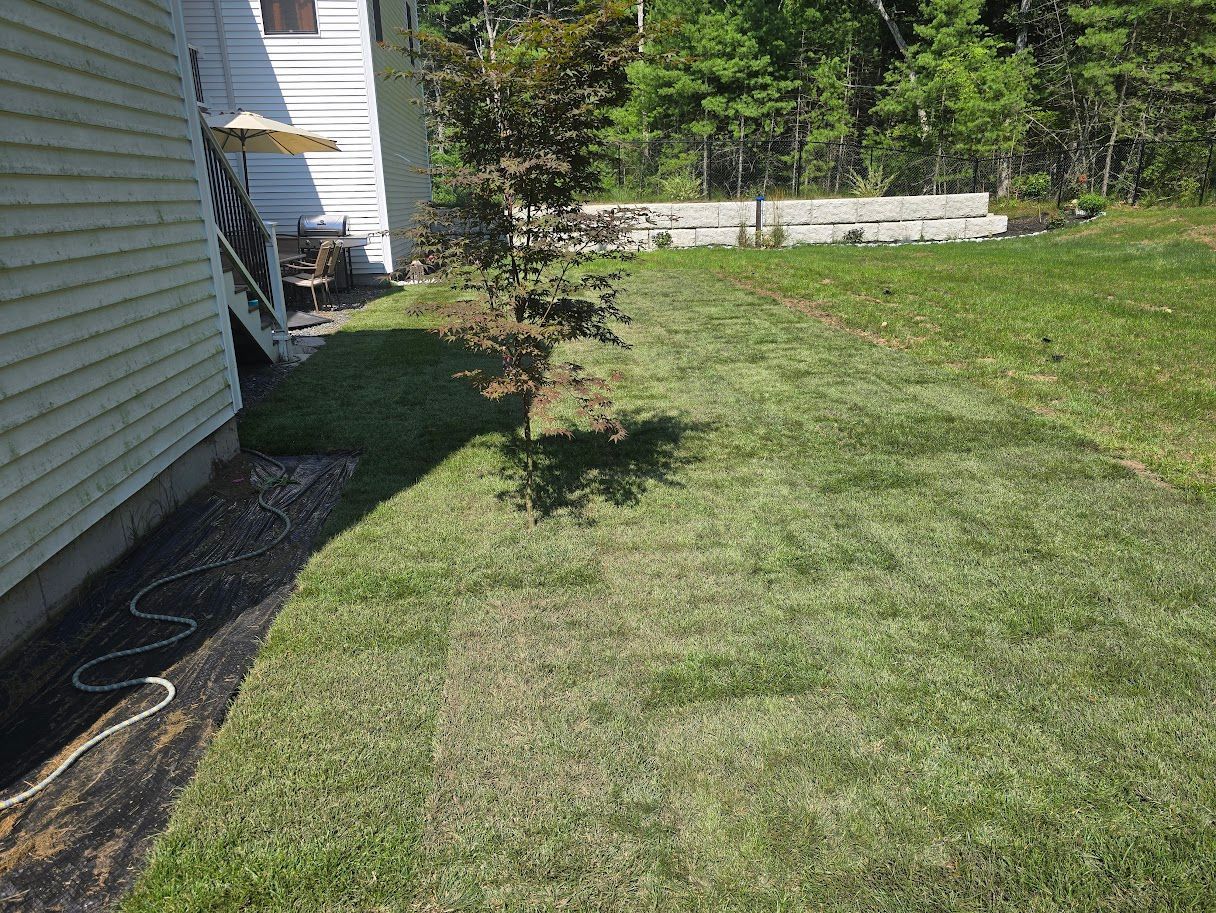 Green grass yard next to a white house; dirt and small bushes along the side.