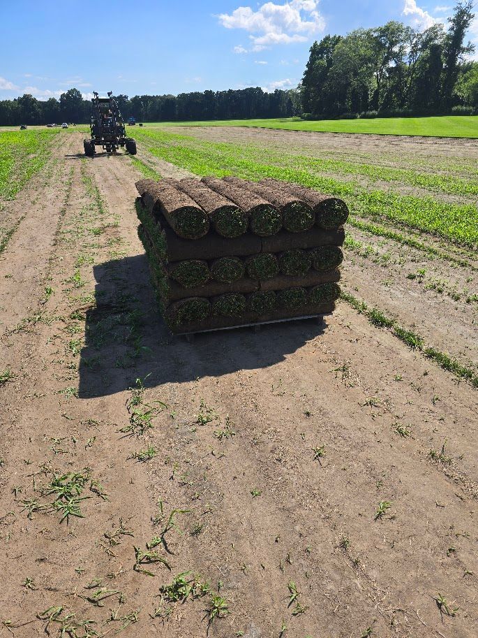 Stack of rolled sod on a dirt path in a field; tractor in the background. Sunny day.
