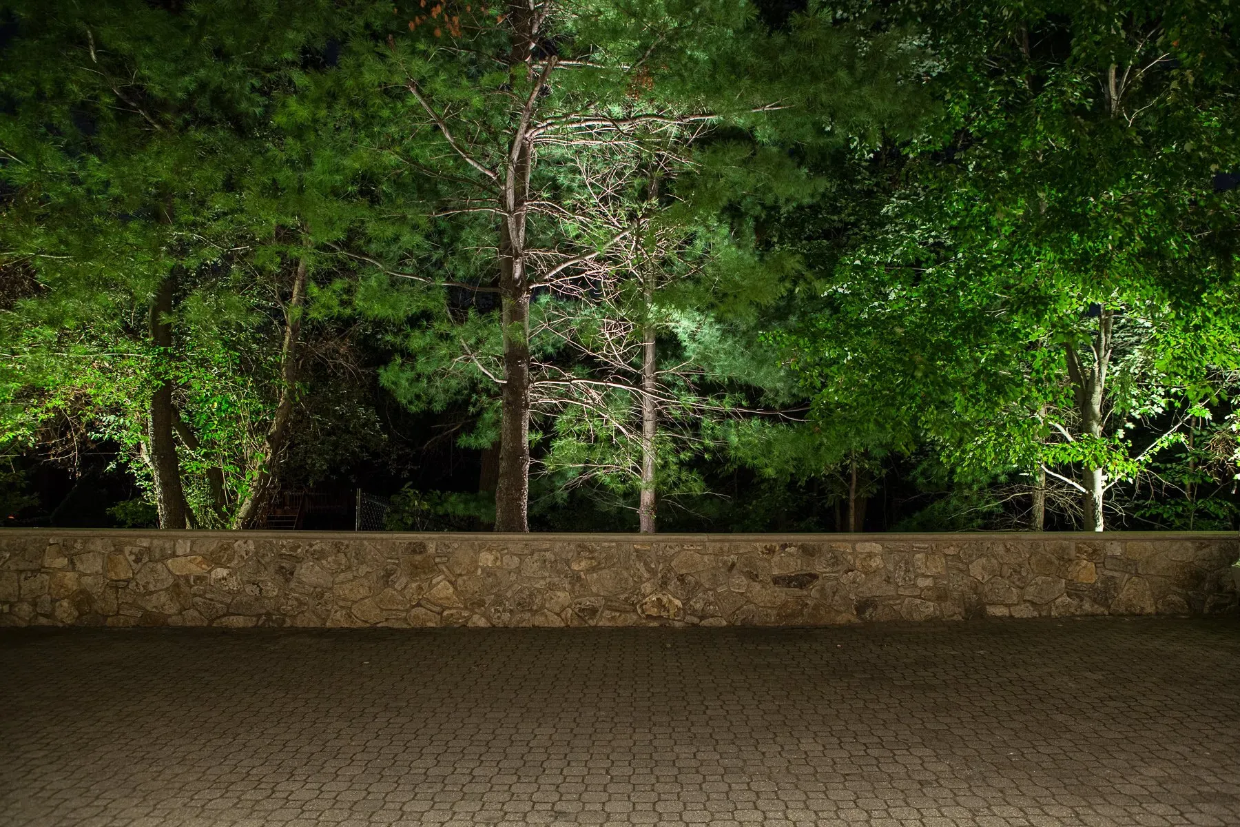 Residential home exterior custom landscape lighting