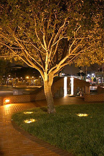 9/11 memorial tree lighting