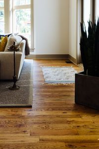 Living room with hardwood floors, sofa, rug, potted plant, and natural light.