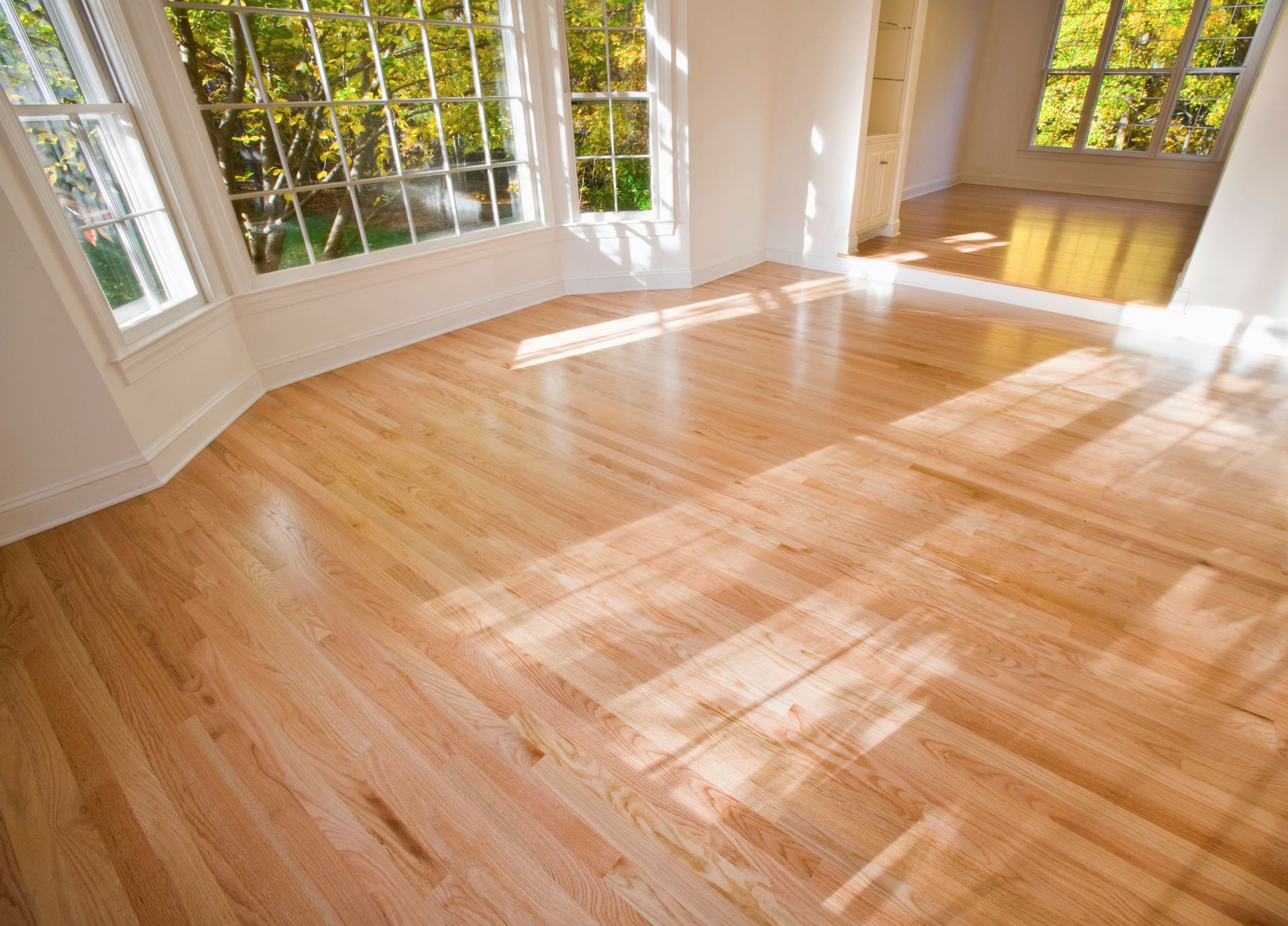 Empty, sunlit room featuring polished light-wood floors and large windows looking out onto trees.
