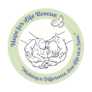 A circular logo showing hands cupping a dog and a cat, with a flying bird above and the text 