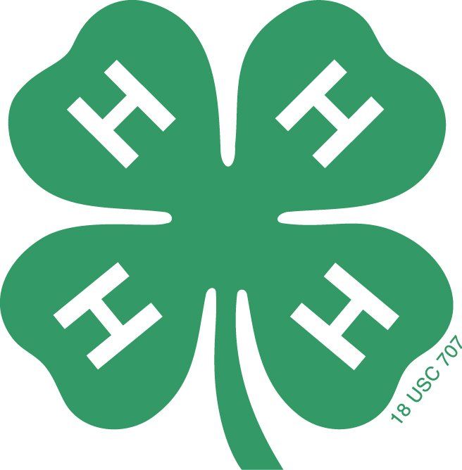 4 H Clover