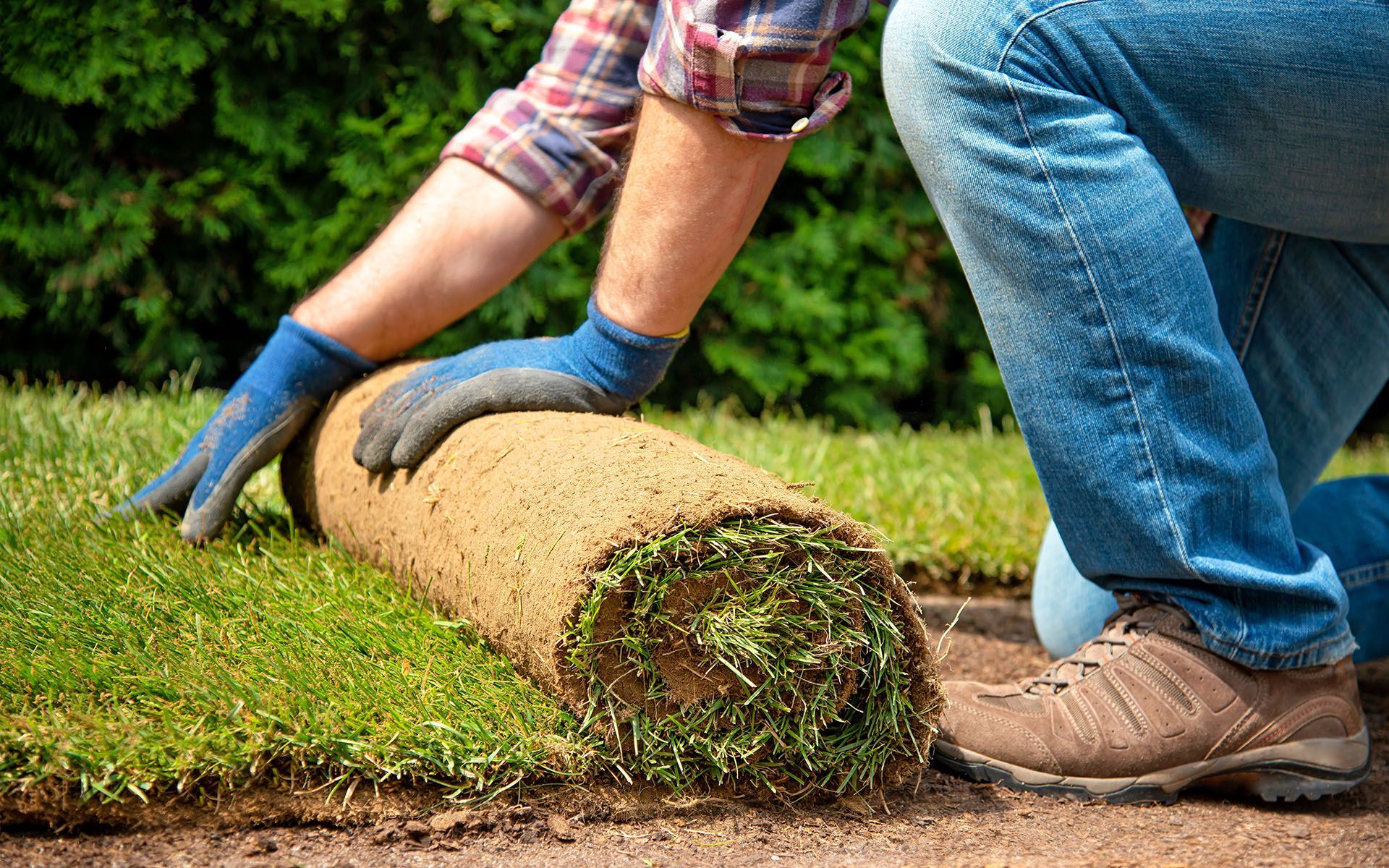 A man is kneeling down to roll out a roll of grass.