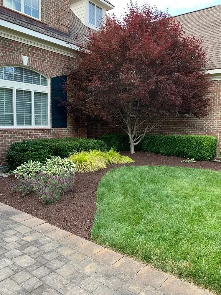 A brick house with a lush green lawn and a tree in front of it.