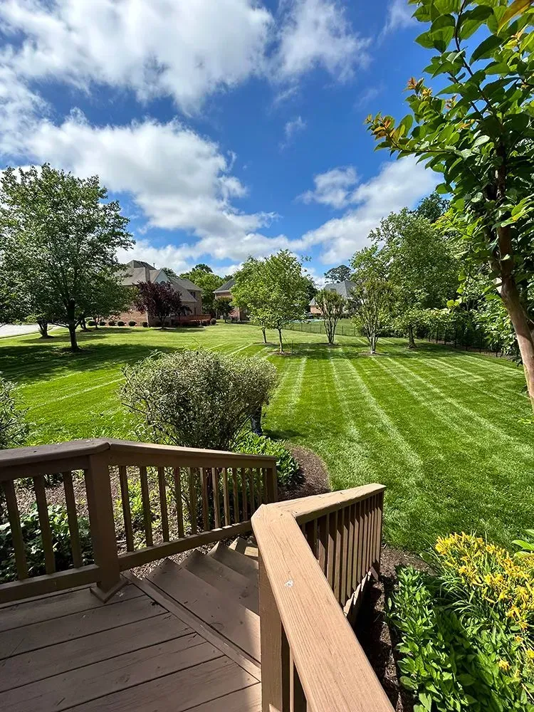 A view of a lush green lawn from a deck.