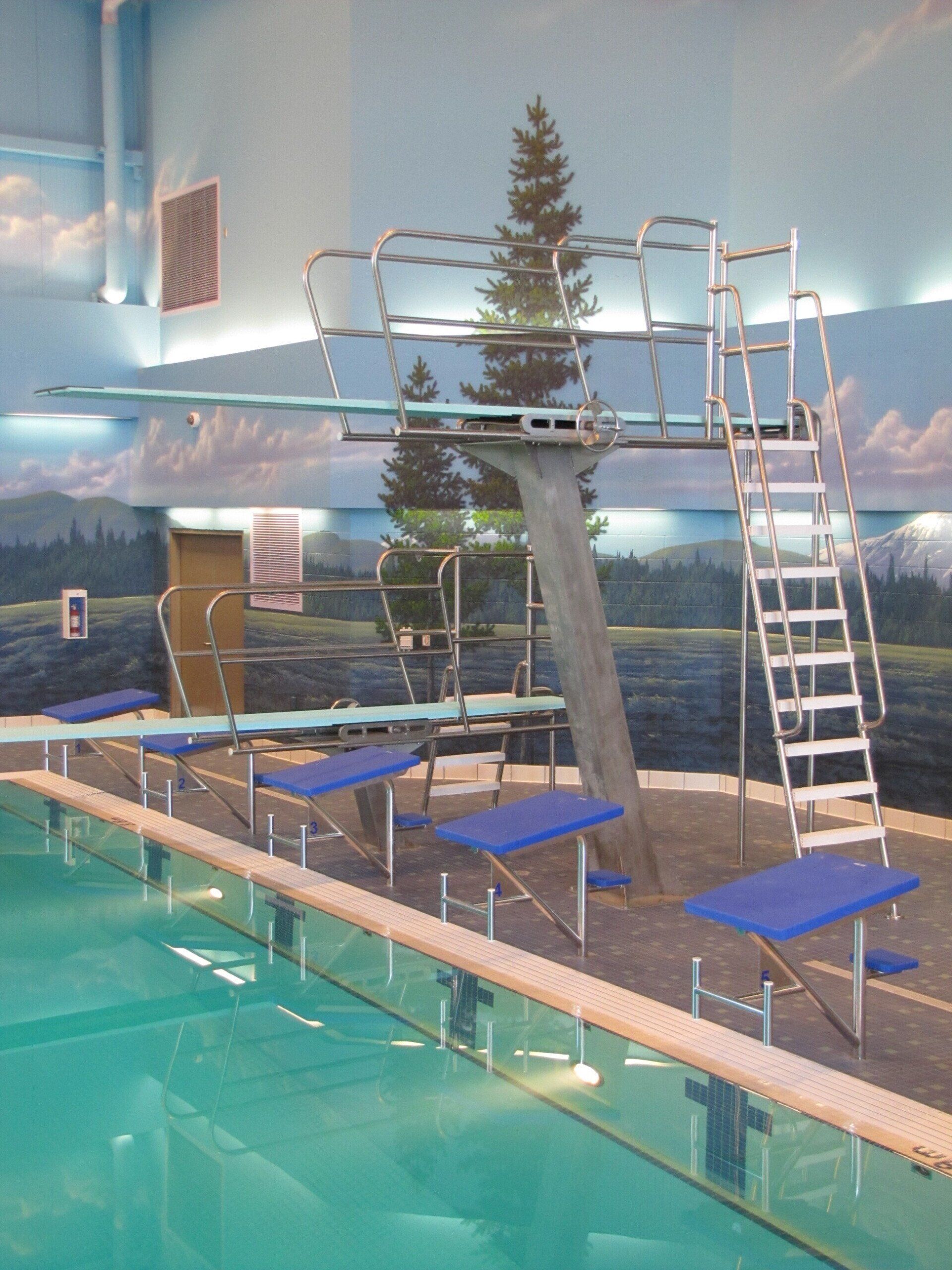 Pool Diving Boards Pool Diving Stands Missoula, MT