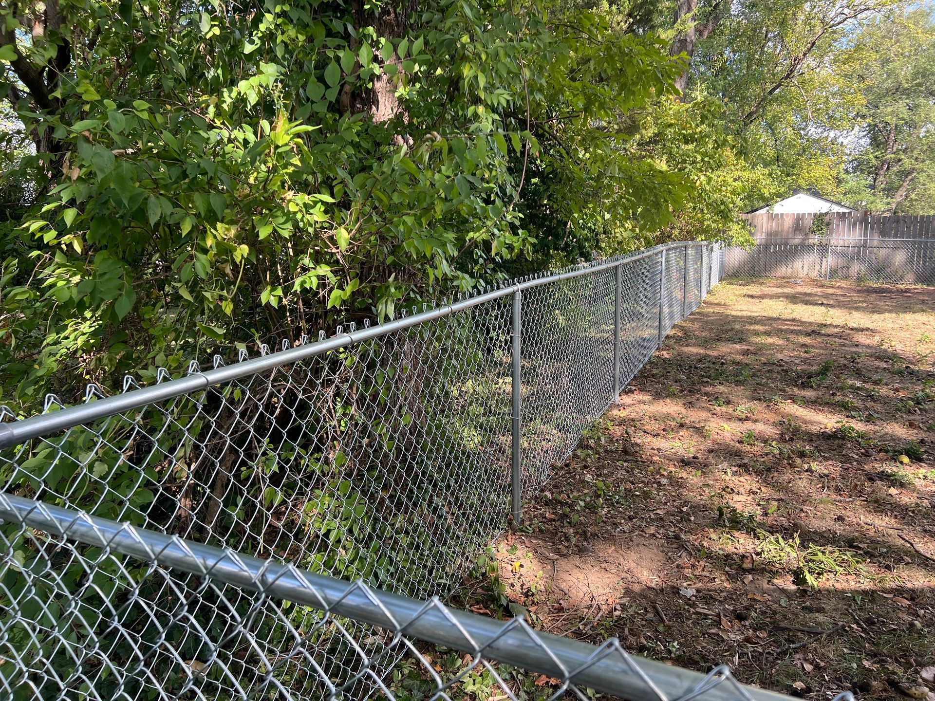 Chain-link fence along a leafy wooded edge beside a dirt path, under bright sunlight.