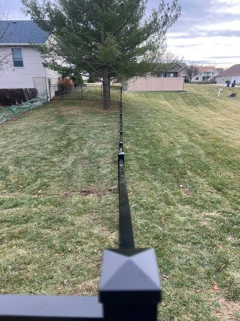 Backyard lawn with a tree and a black fence line running from foreground to background