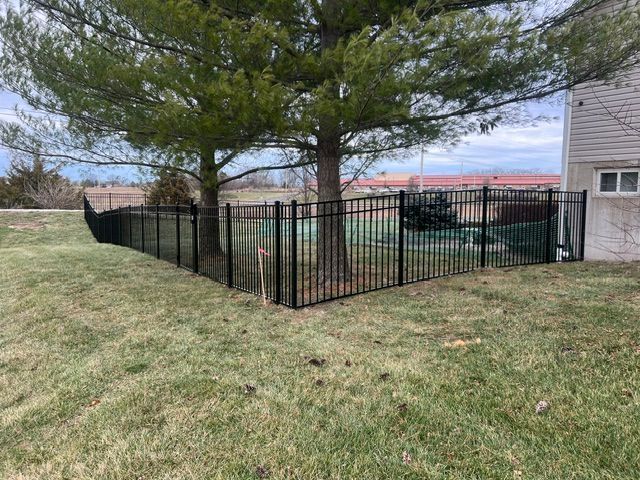 Backyard with black metal fence around a pool, under a large pine tree beside a house