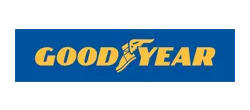 Goodyear logo in yellow text and winged foot graphic on a blue rectangle.