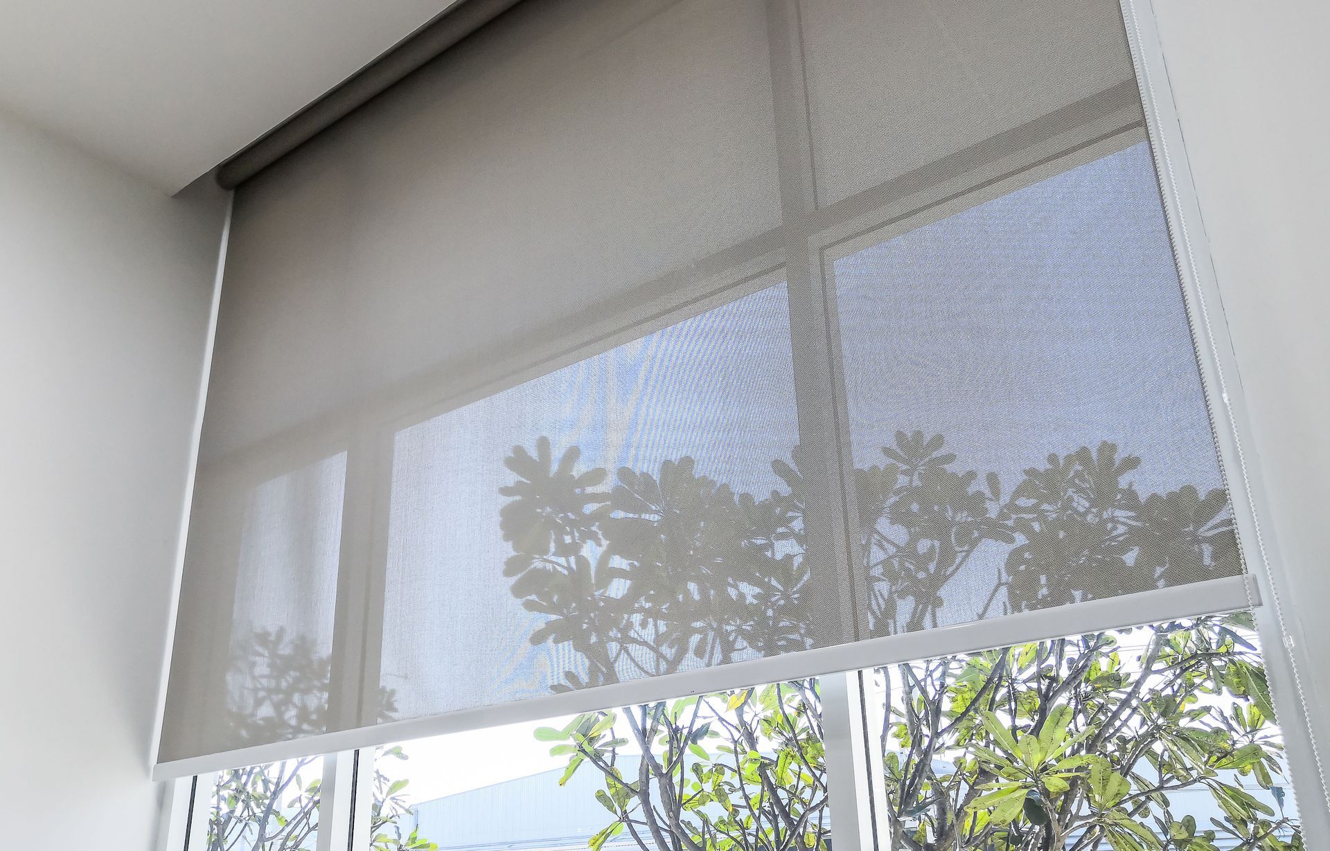 window treatments