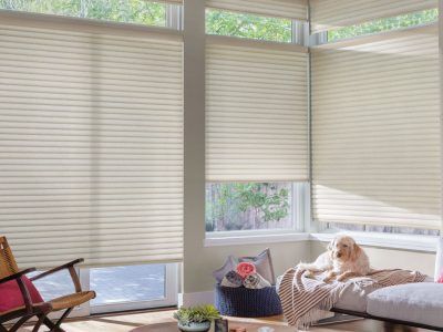 A bright living room with large windows covered by light-colored pleated shades, featuring a dog resting on a couch.