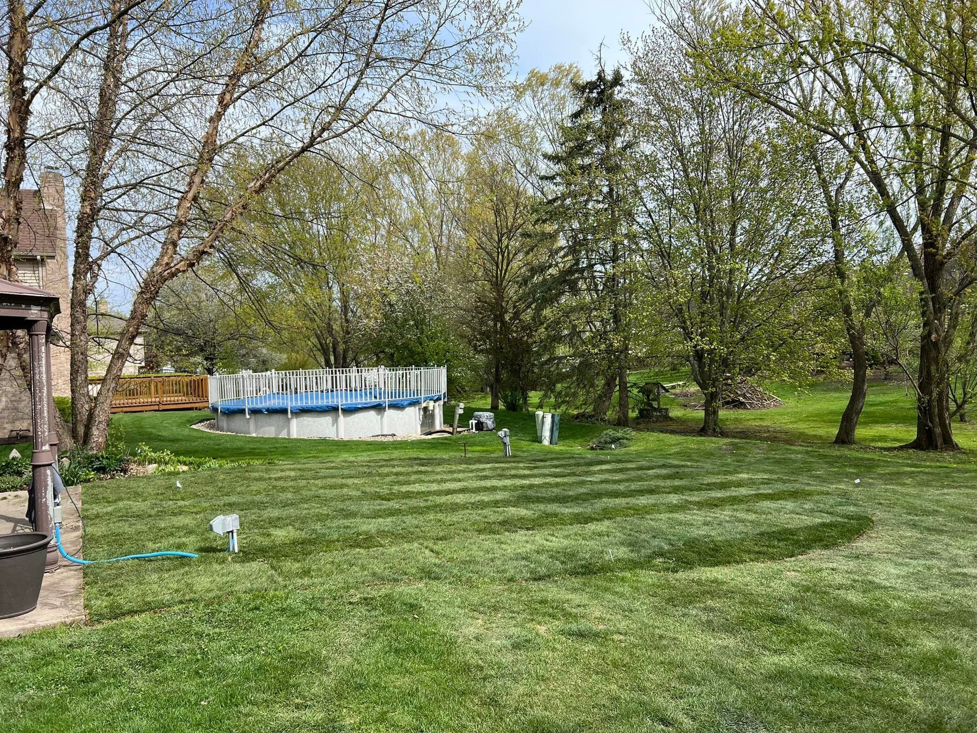 A sunny backyard with a mowed lawn, a circular above-ground pool, and surrounding green trees.