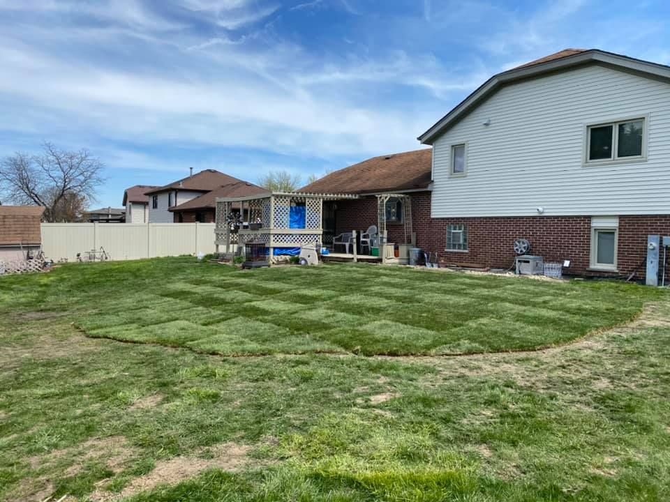 A newly laid patch of sod sits in a residential backyard, contrasting with the existing, less vibrant grass.