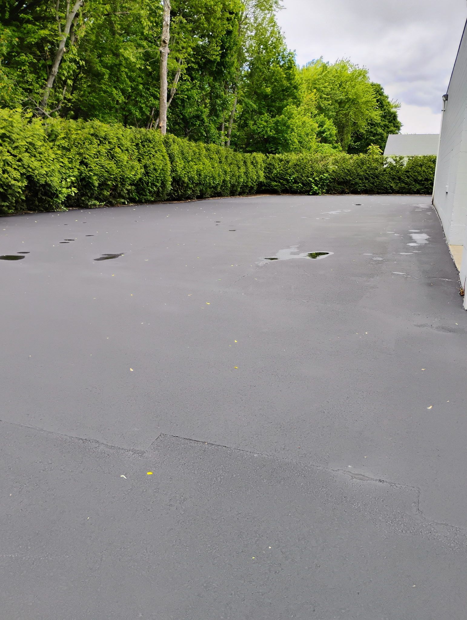 Empty gray pavement beside green hedges and trees under an overcast sky