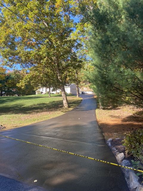 Paved park path winding through trees, blocked by yellow caution tape across the walkway.