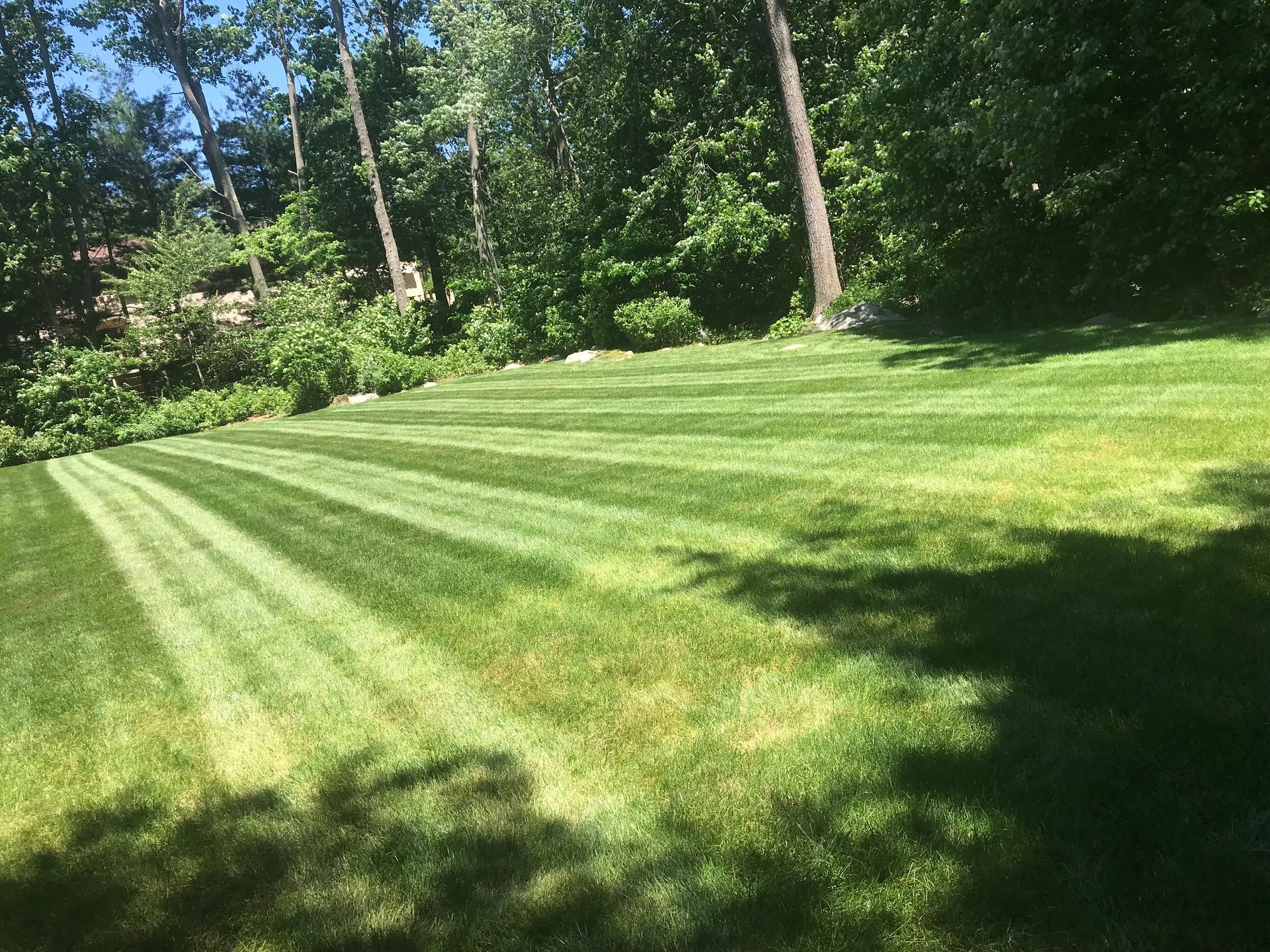 White house with a gray roof and attached garage, green lawn, and driveway. Two flowering trees are on the property.