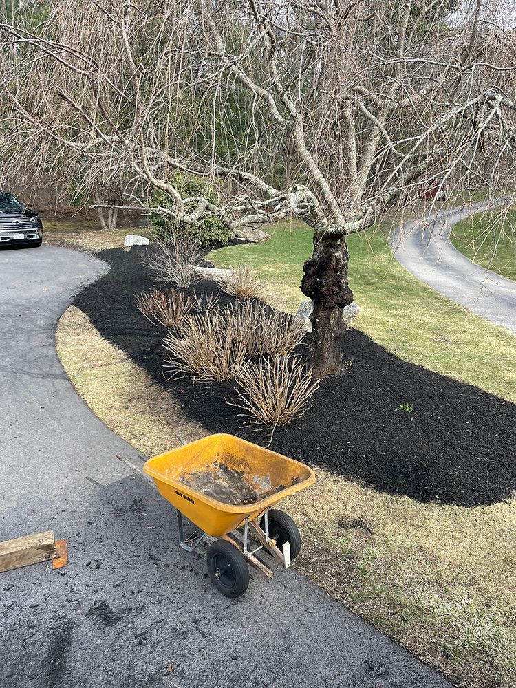 A lush green lawn with trees in the background is being mowed.