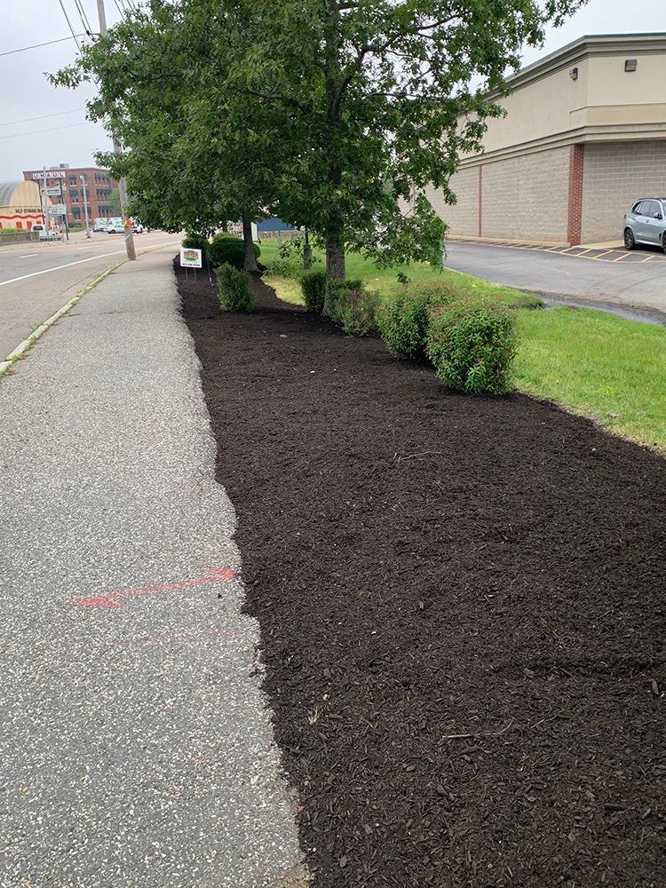 A row of mulch along a sidewalk next to a building.