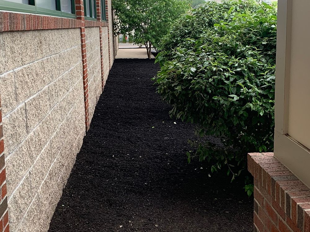 A brick wall along the side of a building