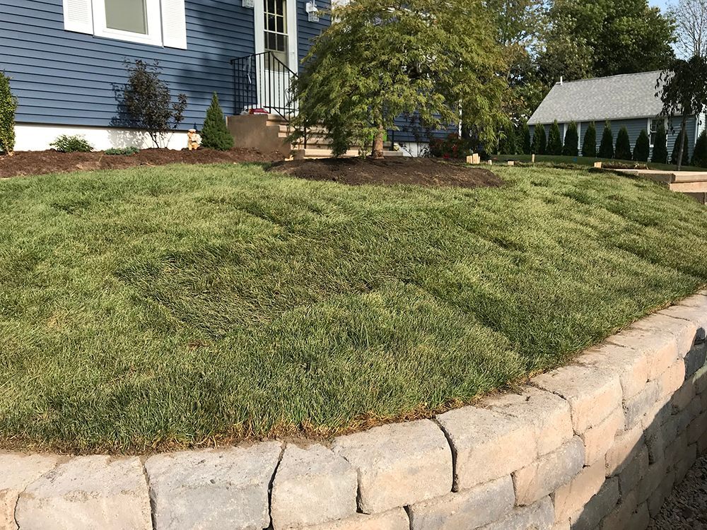 A lush green lawn with a brick wall in front of a house.