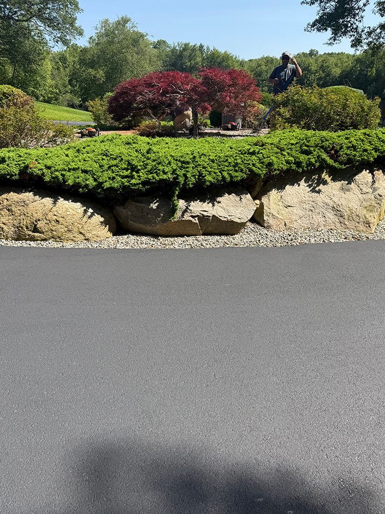 A person is standing on the side of a road next to a bush.