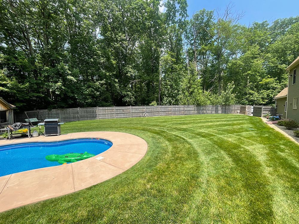 A backyard with a swimming pool and a lush green lawn.