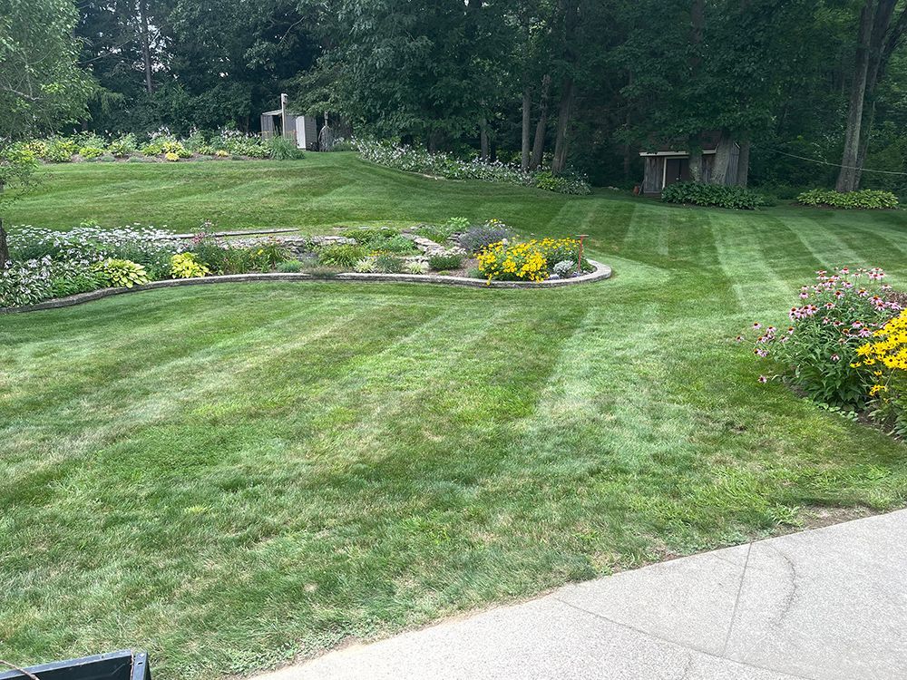 A lush green lawn with flowers and trees in the background.