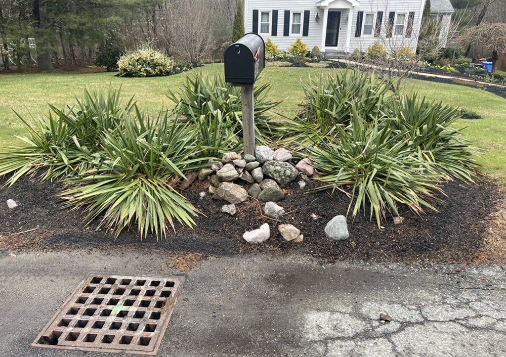 A mailbox is sitting in the middle of a garden in front of a house.