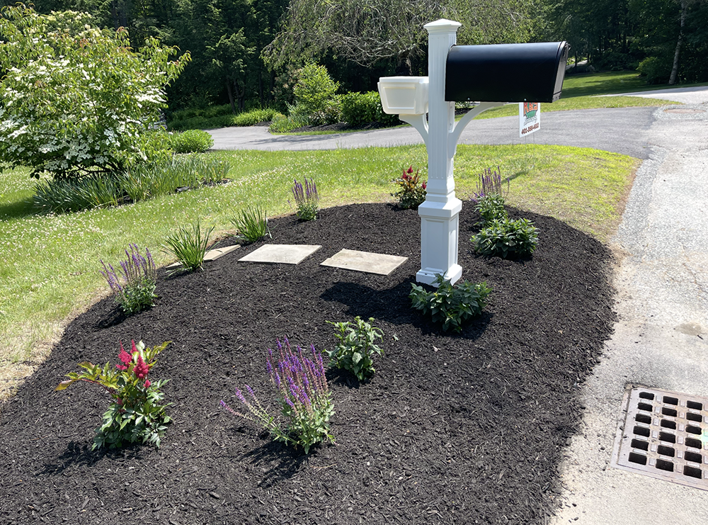A mailbox is sitting on top of a lush green lawn next to a driveway.