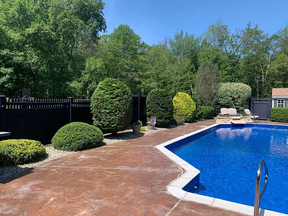 A large swimming pool surrounded by trees and bushes in a backyard.
