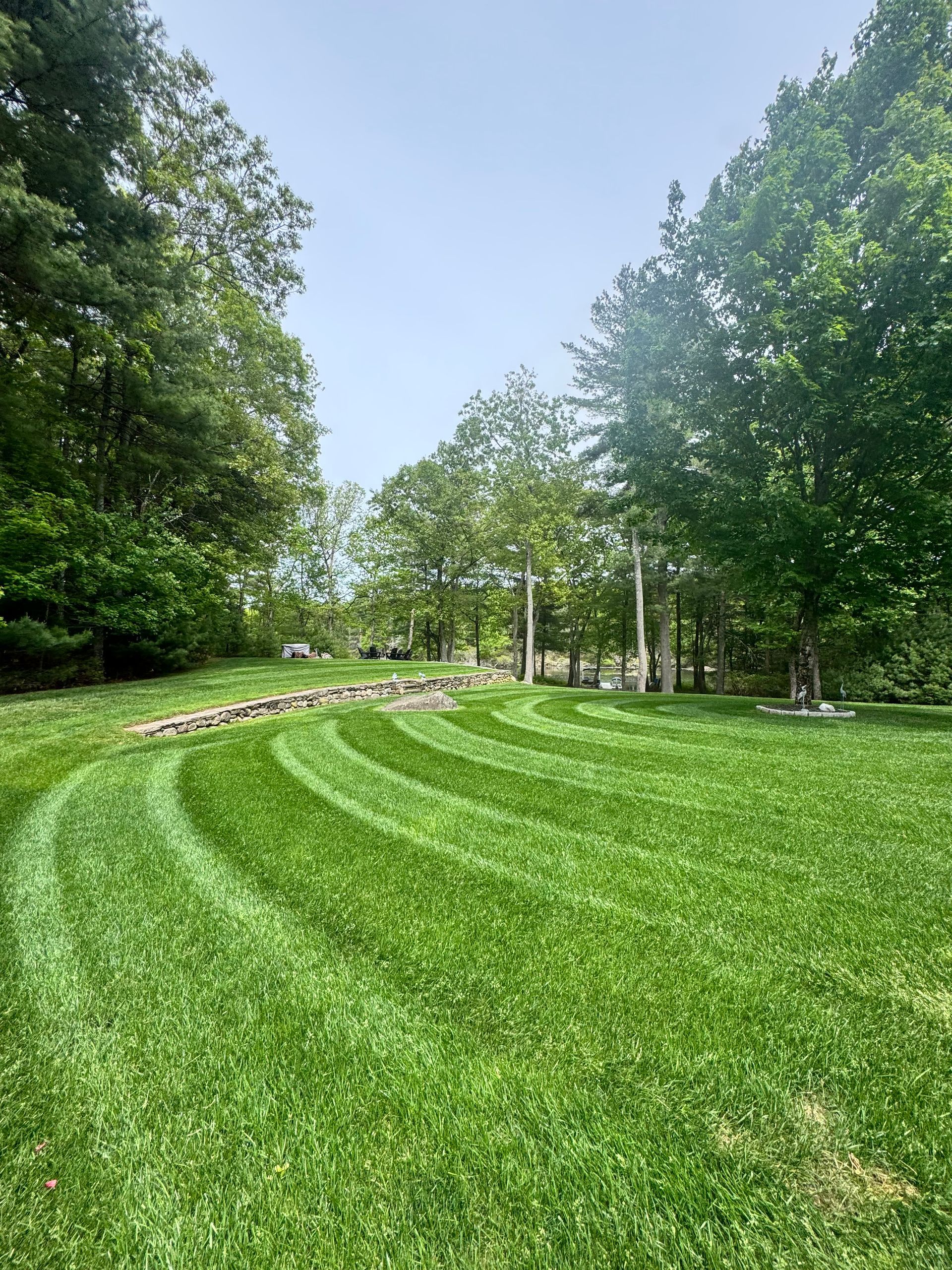 Curved green lawn in a park with trees and a clear blue sky