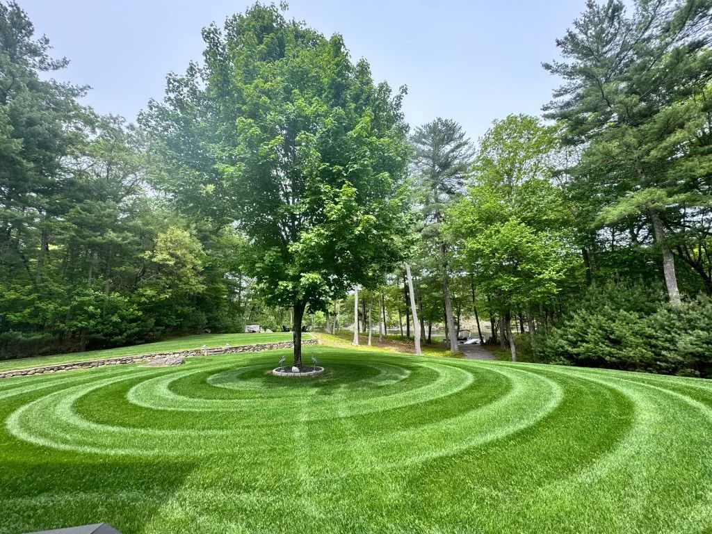 Circular grass labyrinth in a park with a central tree, surrounded by lush green trees.