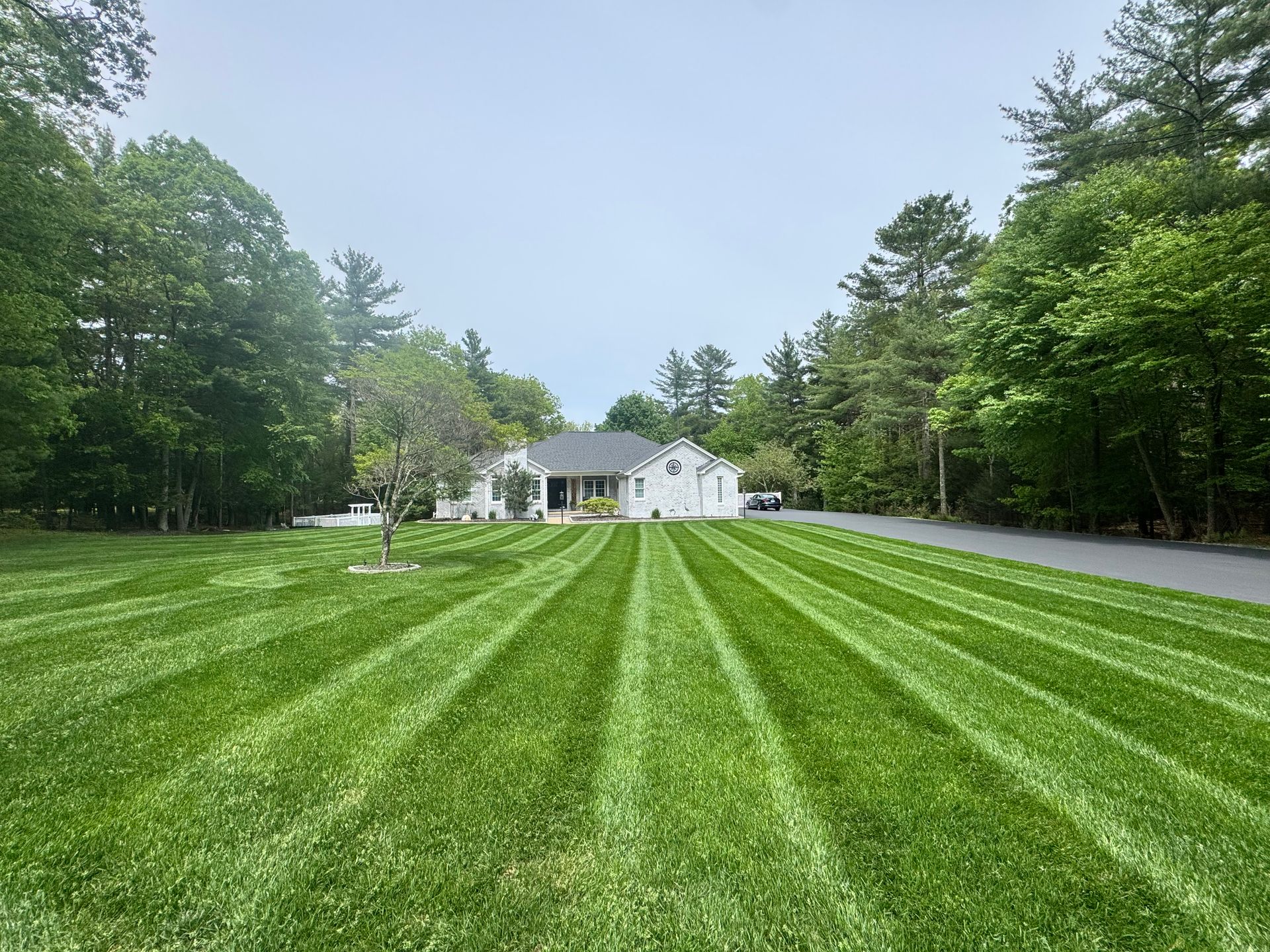 Wide striped green lawn leading to a white house surrounded by trees under a bright sky