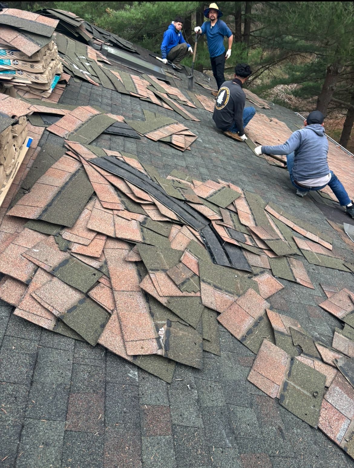People removing old roofing shingles from a roof in a wooded area.