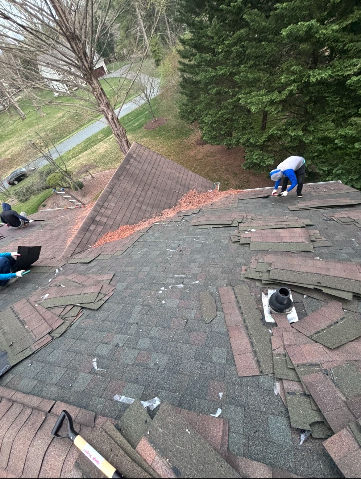 Roofers removing old shingles from a multi-angled roof, trees in background.