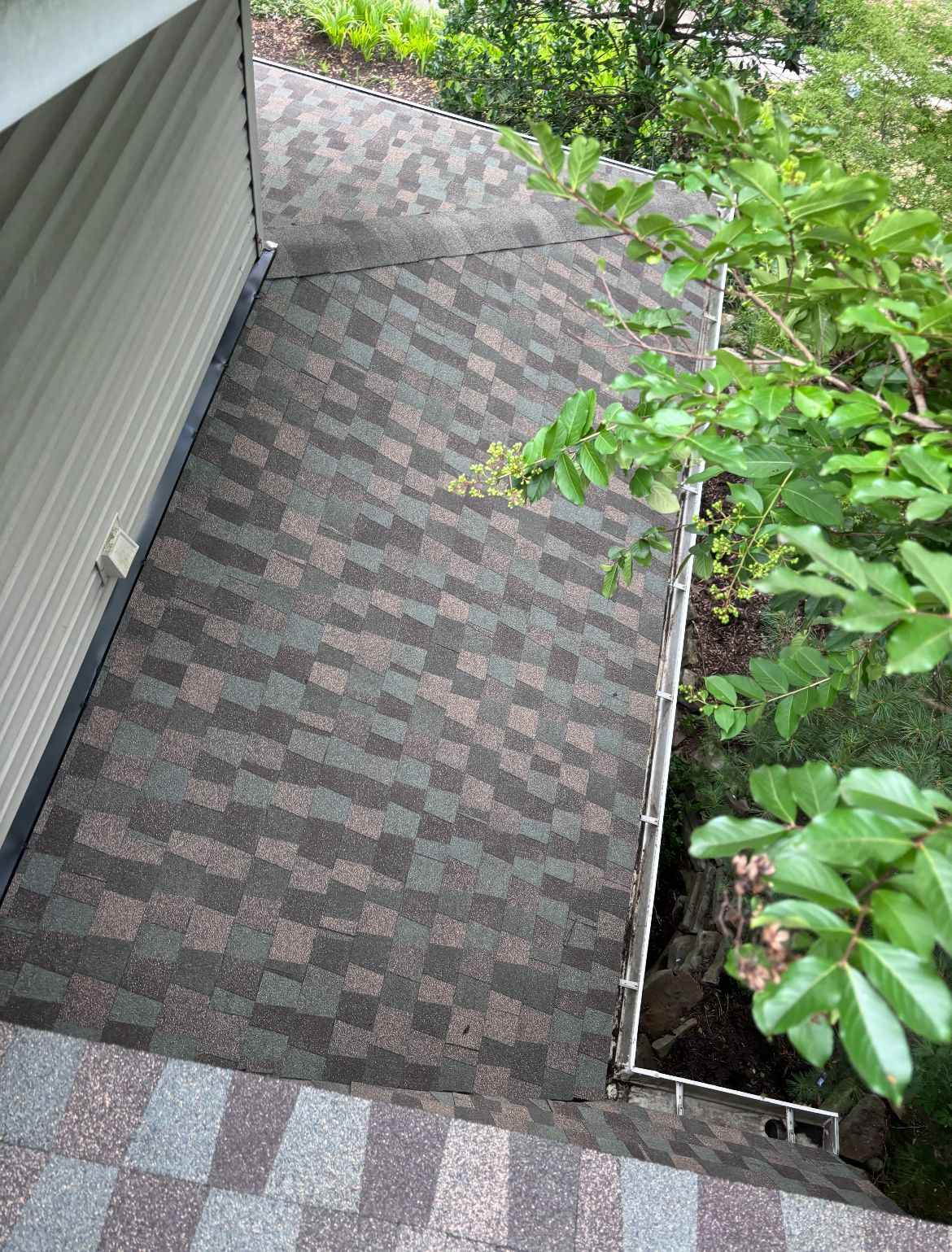 Overhead view of a roof with brown and gray shingles next to a white gutter. Trees in background.