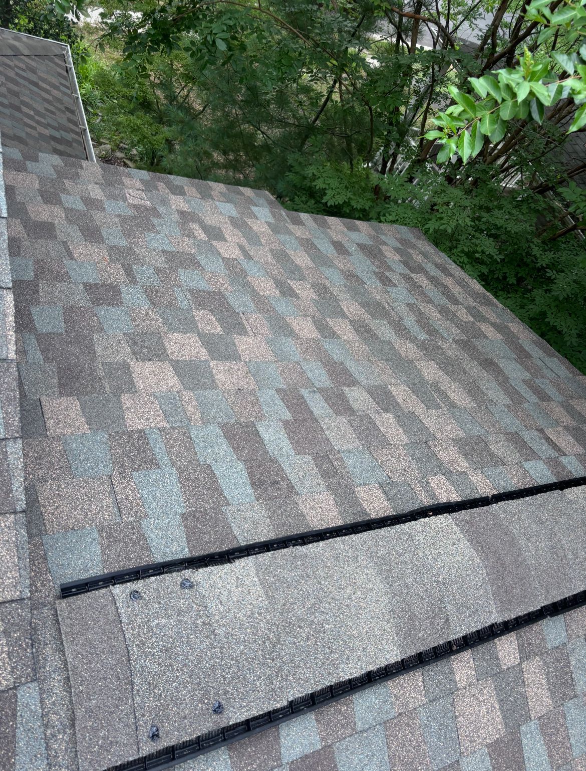 Overhead view of a multi-colored shingled roof with trees in the background.