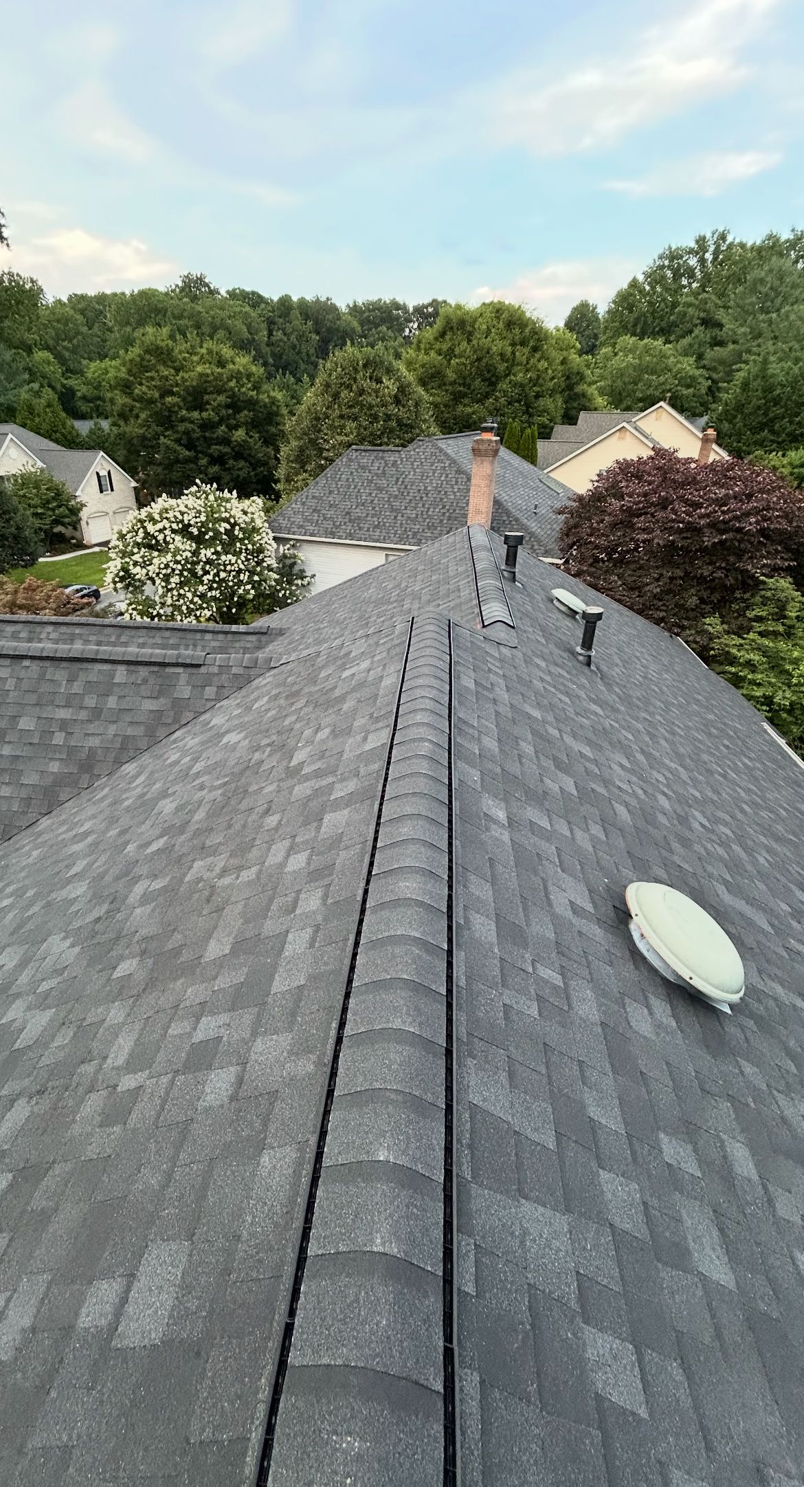 Gray shingled roof with a central seam; trees and sky in background.