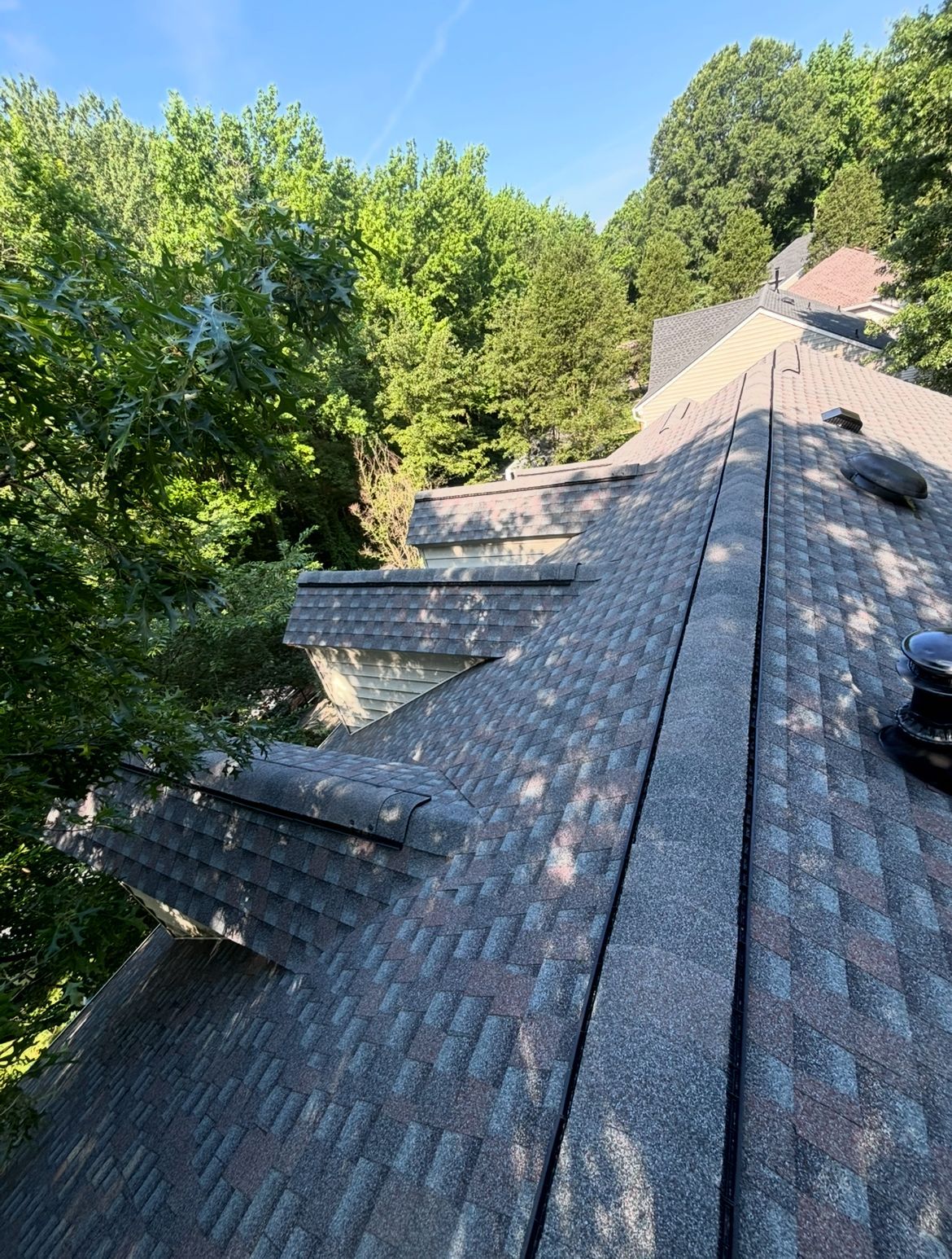 View of a dark gray asphalt shingle roof. Green trees surround the house on a sunny day.