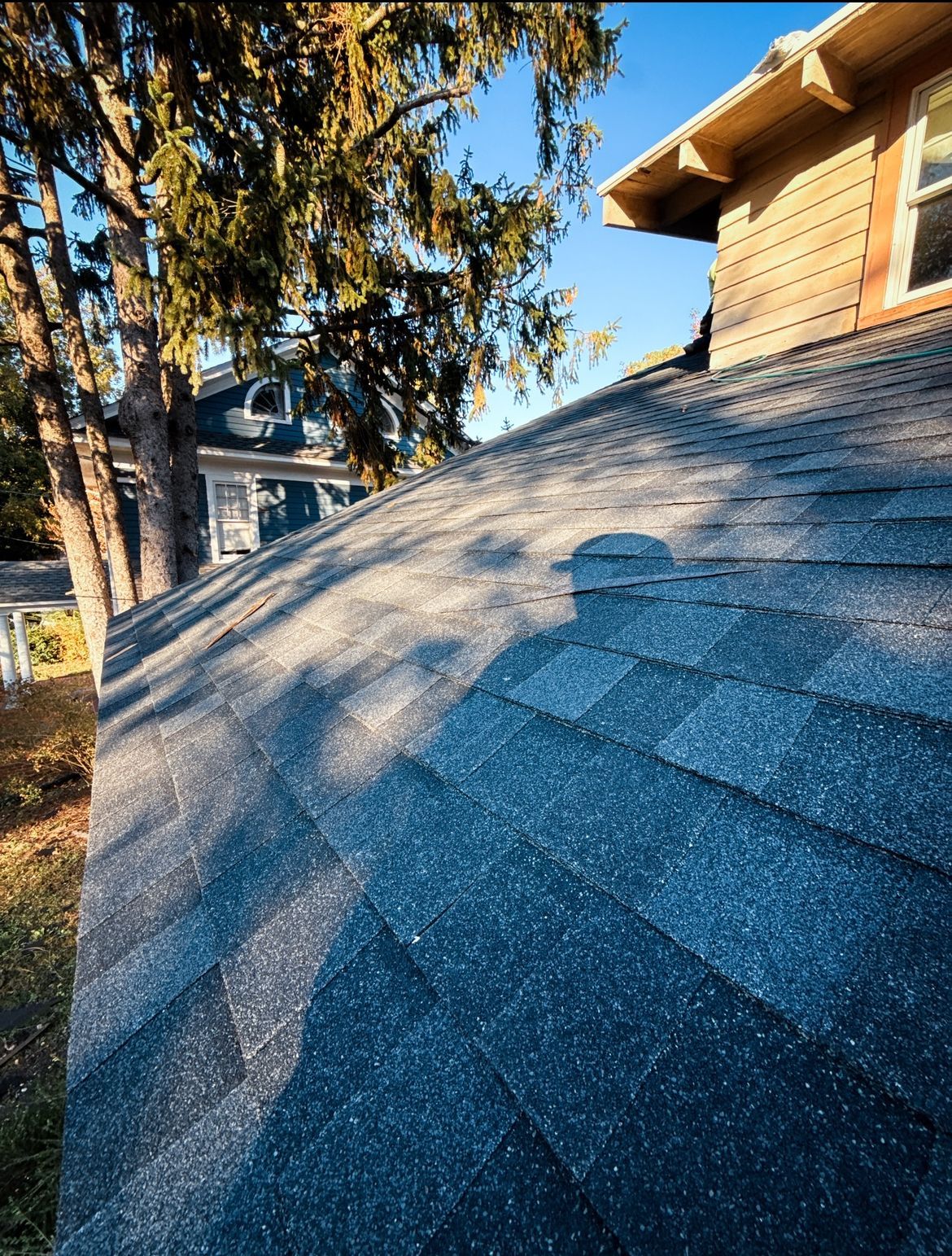 Close-up of a blue-gray shingle roof with a dormer and trees in the background. Sunny outdoor setting.