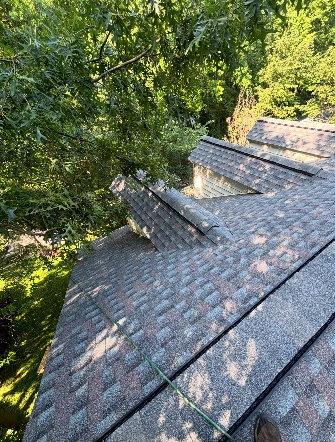 Rooftop with damaged shingles; sunlight filters through nearby trees.