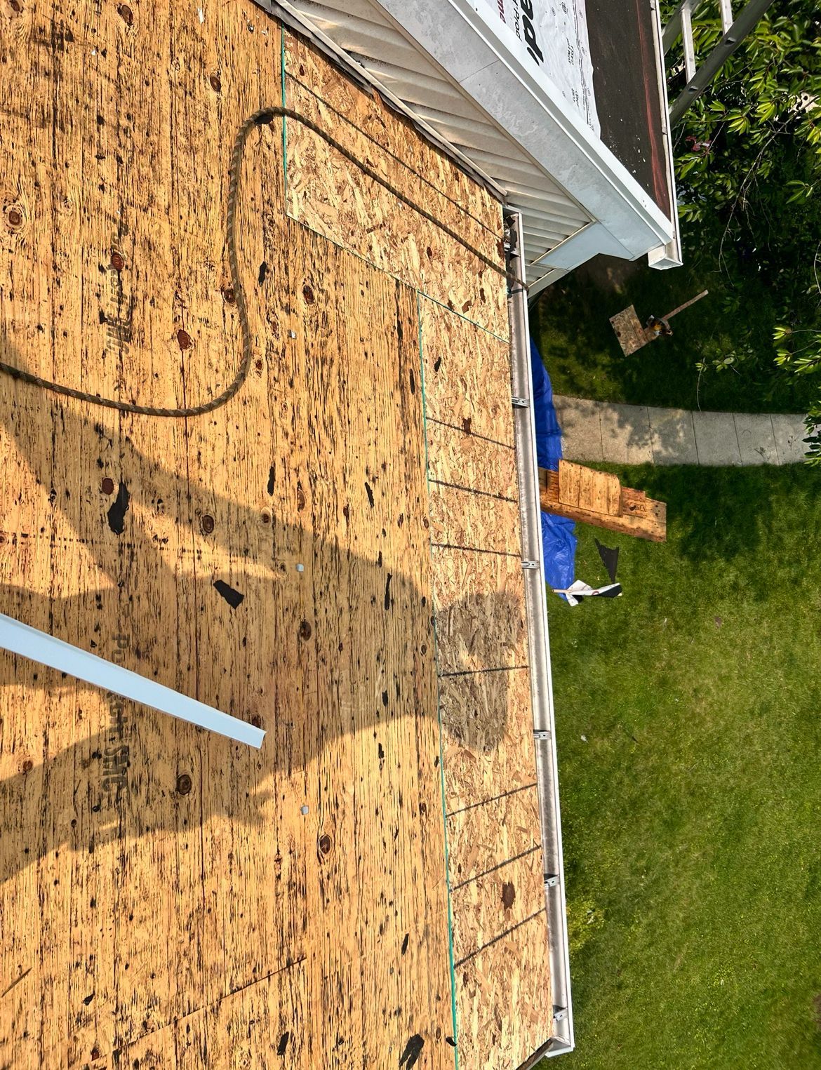 Rooftop with exposed wood paneling; gutter along the edge; some blue tarp and grass.