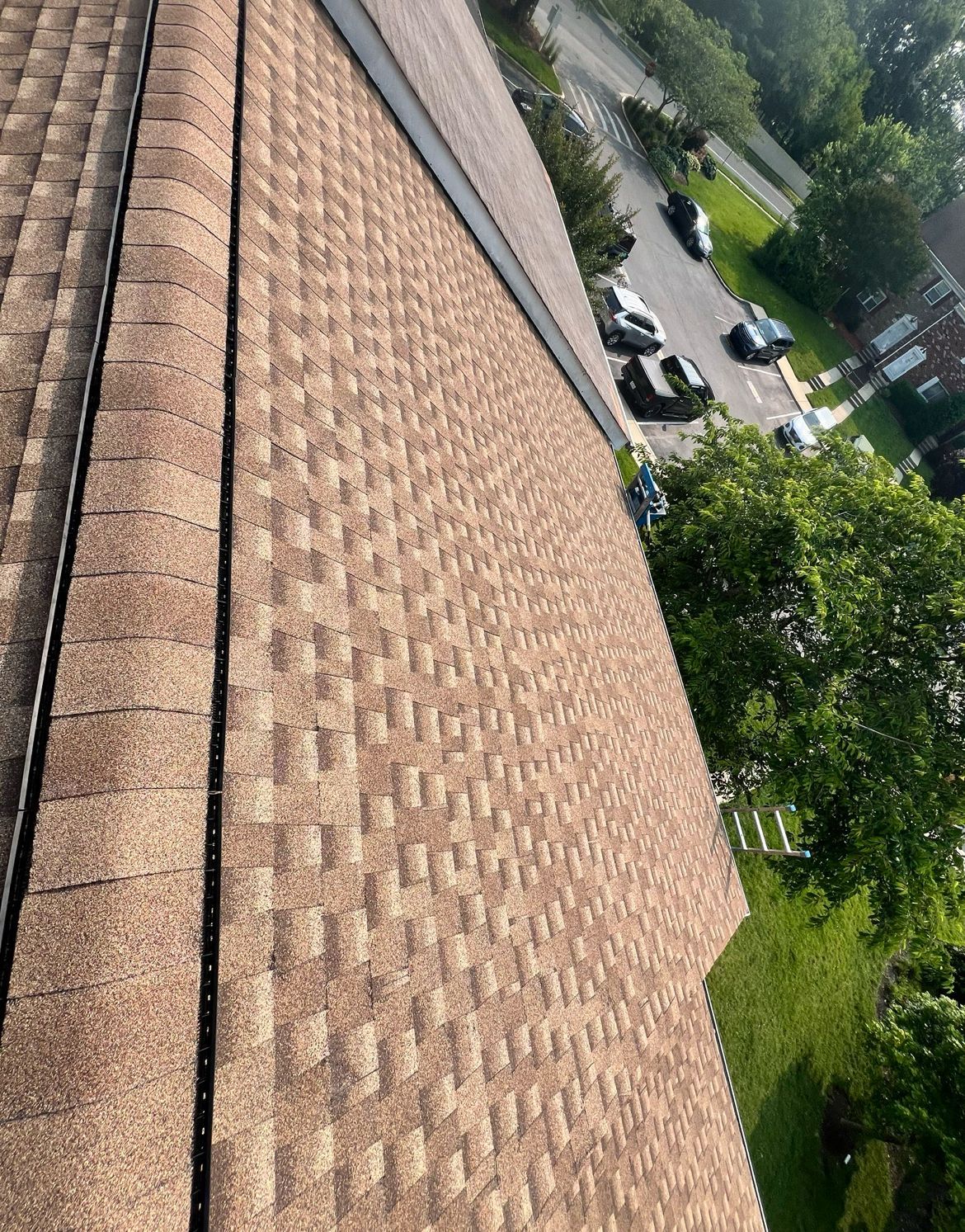 Brown asphalt shingle roof with a gutter, overlooking a street and trees.