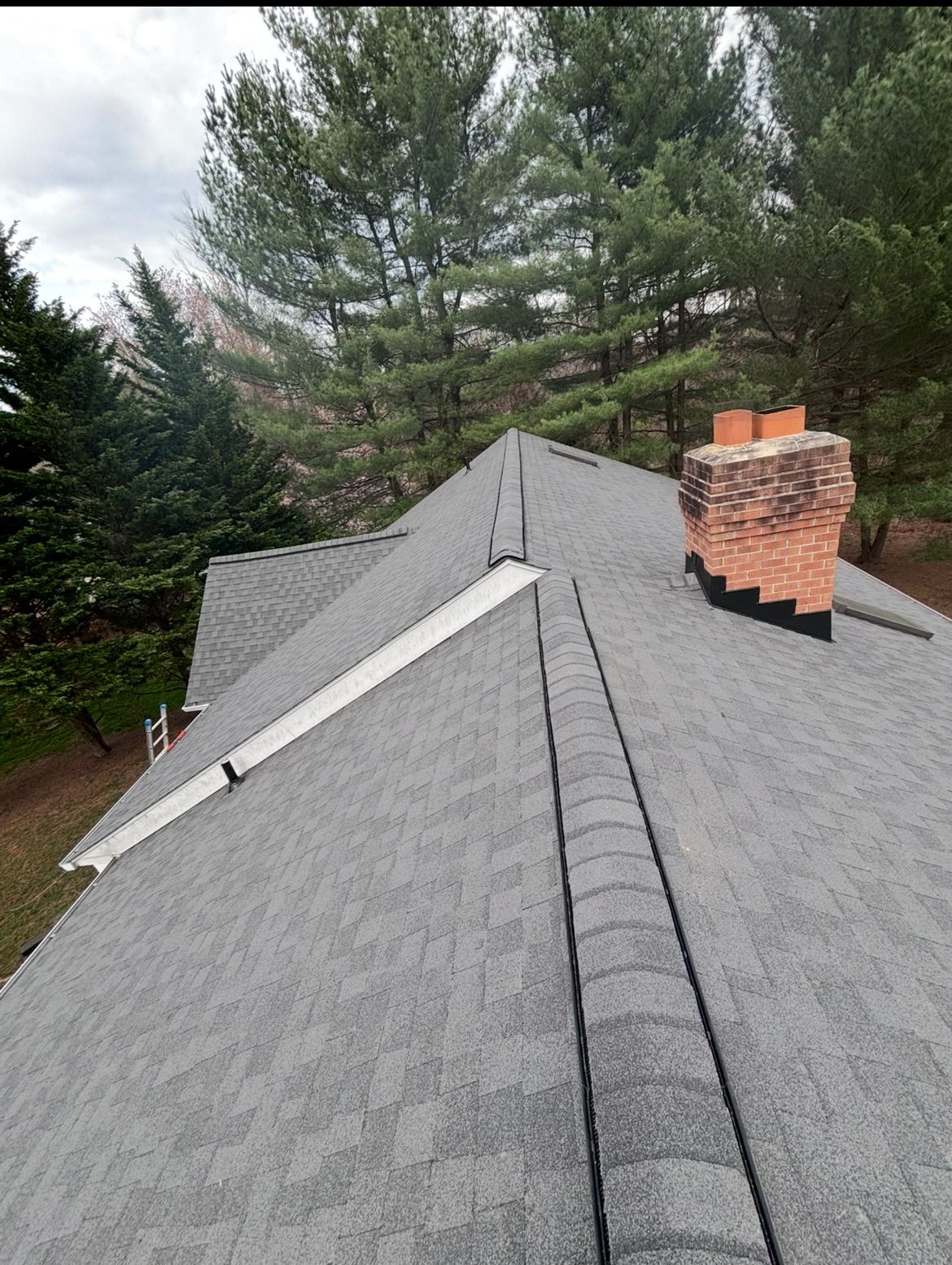 Gray shingled roof with a chimney and trees in the background under an overcast sky.
